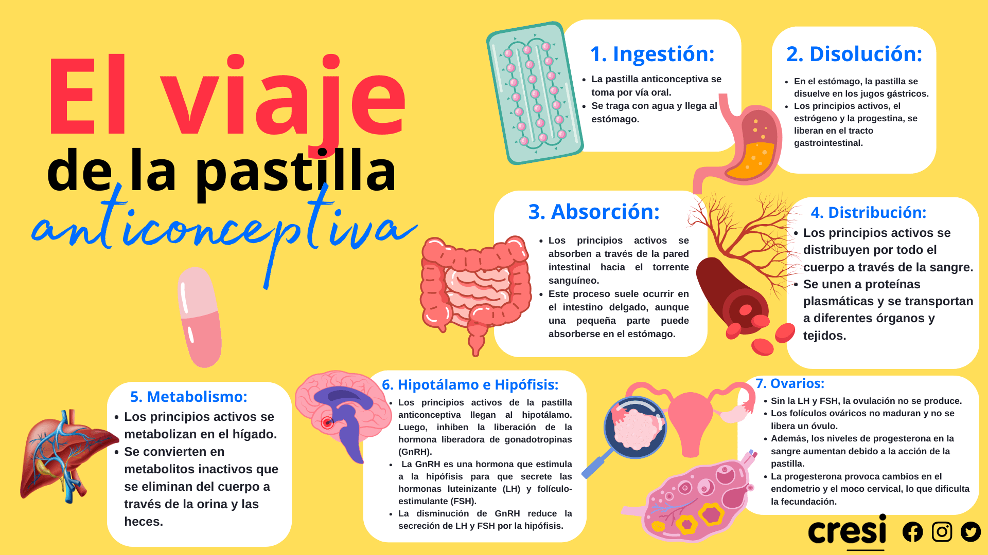 El viaje de la pastilla anticonceptiva